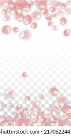 Pink Vector Realistic Petals Falling on Transparent Background.  Spring Romantic Flowers Illustration. Flying Petals. Sakura Spa Design. Blossom Confetti. Design Elements for  Poster Design. 