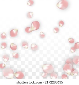 Pétalos realistas del vector rosado caen sobre fondo transparente.  Ilustración de flores románticas primaverales. Pétalos voladores. Diseño del Spa Sakura. Blossom Confetti. Elementos de diseño para la tarjeta 8 de marzo.