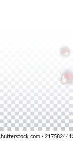 Pink Vector Realistic Petals Falling on Transparent Background.  Spring Romantic Flowers Illustration. Flying Petals. Sakura Spa Design. Blossom Confetti. Design Elements for  Mother's Day.