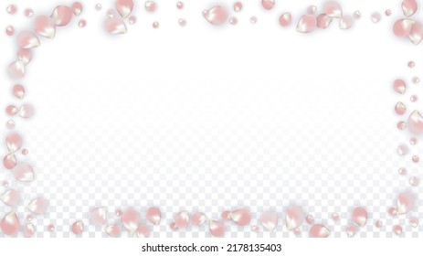 Pétalos realistas del vector rosado caen sobre fondo transparente.  Ilustración de flores románticas primaverales. Pétalos voladores. Diseño del Spa Sakura. Blossom Confetti. Diseñar elementos para el diseño de pancartas.