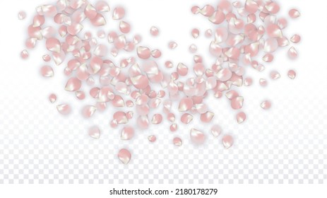 Pink Vector Realistic Petals Falling on Transparent Background.  Spring Romantic Flowers Illustration. Flying Petals. Sakura Spa Design. Blossom Confetti. Design Elements for  St. Valentine Day.