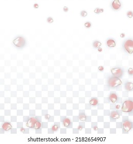 Pink Vector Realistic Petals Falling on Transparent Background.  Spring Romantic Flowers Illustration. Flying Petals. Sakura Spa Design. Blossom Confetti. Design Elements for  St. Valentine Day.