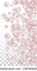 Pink Vector Realistic Petals Falling on Transparent Background.  Spring Romantic Flowers Illustration. Flying Petals. Sakura Spa Design. Blossom Confetti. Design Elements for  St. Valentine Day.