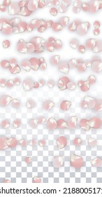 Pink Vector Realistic Petals Falling on Transparent Background.  Spring Romantic Flowers Illustration. Flying Petals. Sakura Spa Design. Blossom Confetti. Design Elements for  St. Valentine Day.