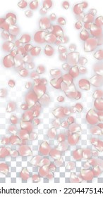 Pétalos realistas del vector rosado caen sobre fondo transparente.  Ilustración de flores románticas primaverales. Pétalos voladores. Diseño del Spa Sakura. Blossom Confetti. Elementos de diseño para la decoración de bodas.