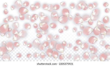 Pink Vector Realistic Petals Falling on Transparent Background.  Spring Romantic Flowers Illustration. Flying Petals. Sakura Spa Design. Blossom Confetti. Design Elements for  Wedding Decoration.