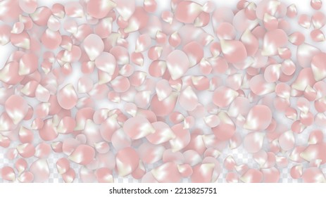 Pink Vector Realistic Petals Falling on Transparent Background.  Spring Romantic Flowers Illustration. Flying Petals. Sakura Spa Design. Blossom Confetti. Design Elements for  Mother's Day.