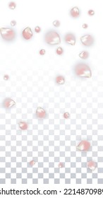 Pink Vector Realistic Petals Falling on Transparent Background.  Spring Romantic Flowers Illustration. Flying Petals. Sakura Spa Design. Blossom Confetti. Design Elements for  Mother's Day.