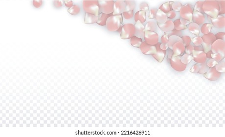 Pink Vector Realistic Petals Falling on Transparent Background.  Spring Romantic Flowers Illustration. Flying Petals. Sakura Spa Design. Blossom Confetti. Design Elements for  8 March Card.