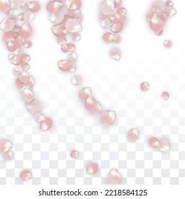 Pétalos realistas del vector rosado caen sobre fondo transparente.  Ilustración de flores románticas primaverales. Pétalos voladores. Diseño del Spa Sakura. Blossom Confetti. Diseñar elementos para el diseño de tarjetas. 