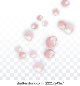 Pink Vector Realistic Petals Falling on Transparent Background.  Spring Romantic Flowers Illustration. Flying Petals. Sakura Spa Design. Blossom Confetti. Design Elements for  Mother's Day.