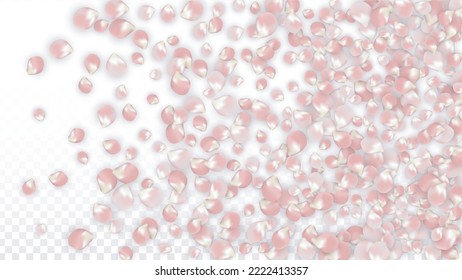 Pink Vector Realistic Petals Falling on Transparent Background.  Spring Romantic Flowers Illustration. Flying Petals. Sakura Spa Design. Blossom Confetti. Design Elements for  Banner Design.