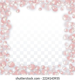 Pink Vector Realistic Petals Falling on Transparent Background.  Spring Romantic Flowers Illustration. Flying Petals. Sakura Spa Design. Blossom Confetti. Design Elements for  Banner Design.
