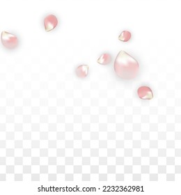 Pink Vector Realistic Petals Falling on Transparent Background.  Spring Romantic Flowers Illustration. Flying Petals. Sakura Spa Design. Blossom Confetti. Design Elements for  Banner Design.