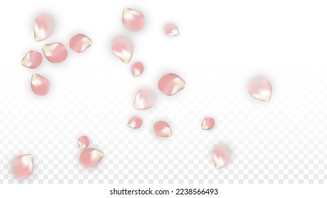 Pink Vector Realistic Petals Falling on Transparent Background.  Spring Romantic Flowers Illustration. Flying Petals. Sakura Spa Design. Blossom Confetti. Design Elements for  8 March Card.