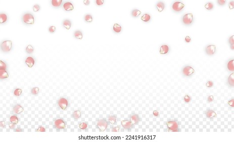 Pink Vector Realistic Petals Falling on Transparent Background.  Spring Romantic Flowers Illustration. Flying Petals. Sakura Spa Design. Blossom Confetti. Design Elements for  Mother's Day.