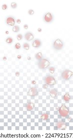 Pétalos realistas del vector rosado caen sobre fondo transparente.  Ilustración de flores románticas primaverales. Pétalos voladores. Diseño del Spa Sakura. Blossom Confetti. Elementos de diseño para la tarjeta 8 de marzo.
