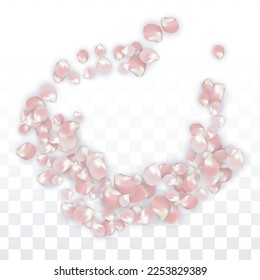 Pink Vector Realistic Petals Falling on Transparent Background.  Spring Romantic Flowers Illustration. Flying Petals. Sakura Spa Design. Blossom Confetti. Design Elements for  Card Design. 