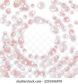 Pink Vector Realistic Petals Falling on Transparent Background.  Spring Romantic Flowers Illustration. Flying Petals. Sakura Spa Design. Blossom Confetti. Design Elements for  St. Valentine Day.