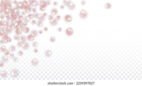 Pink Vector Realistic Petals Falling on Transparent Background.  Spring Romantic Flowers Illustration. Flying Petals. Sakura Spa Design. Blossom Confetti. Design Elements for  Mother's Day.