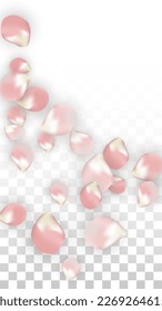 Pink Vector Realistic Petals Falling on Transparent Background.  Spring Romantic Flowers Illustration. Flying Petals. Sakura Spa Design. Blossom Confetti. Design Elements for  Poster Design. 