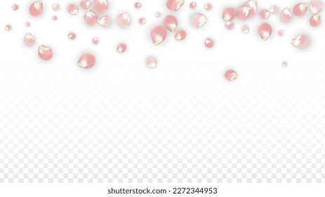 Pink Vector Realistic Petals Falling on Transparent Background.  Spring Romantic Flowers Illustration. Flying Petals. Sakura Spa Design. Blossom Confetti. Design Elements for  8 March Card.