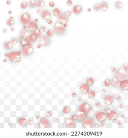 Pink Vector Realistic Petals Falling on Transparent Background.  Spring Romantic Flowers Illustration. Flying Petals. Sakura Spa Design. Blossom Confetti. Design Elements for  8 March Card.