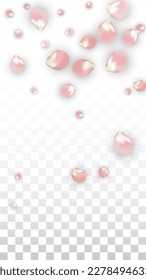 Pink Vector Realistic Petals Falling on Transparent Background.  Spring Romantic Flowers Illustration. Flying Petals. Sakura Spa Design. Blossom Confetti. Design Elements for  Wedding Decoration.
