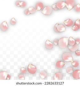 Pink Vector Realistic Petals Falling on Transparent Background.  Spring Romantic Flowers Illustration. Flying Petals. Sakura Spa Design. Blossom Confetti. Design Elements for  Banner Design.
