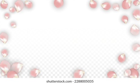 Pink Vector Realistic Petals Falling on Transparent Background.  Spring Romantic Flowers Illustration. Flying Petals. Sakura Spa Design. Blossom Confetti. Design Elements for  Banner Design.