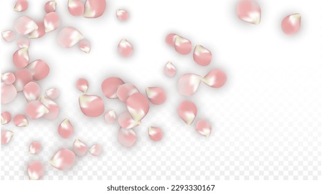 Pétalos realistas del vector rosado caen sobre fondo transparente.  Ilustración de flores románticas primaverales. Pétalos voladores. Diseño del Spa Sakura. Blossom Confetti. Elementos de diseño para la decoración de bodas.
