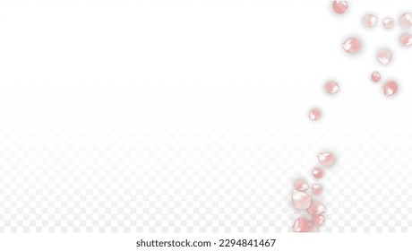 Pink Vector Realistic Petals Falling on Transparent Background.  Spring Romantic Flowers Illustration. Flying Petals. Sakura Spa Design. Blossom Confetti. Design Elements for  Card Design. 