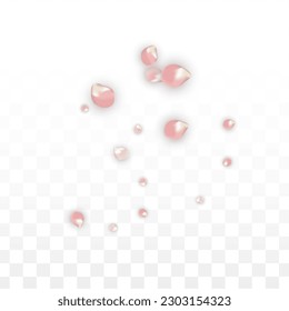 rosafarbene, realistische Petalen, die auf transparentem Hintergrund fallen.  Frühlingsromantische Blumenillustration. Fliegender Petals. Sakura Spa Design. Blossom Confetti. Gestaltungselemente für den Valentinstag.