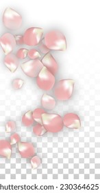 Pink Vector Realistic Petals Falling on Transparent Background.  Spring Romantic Flowers Illustration. Flying Petals. Sakura Spa Design. Blossom Confetti. Design Elements for  Mother's Day.