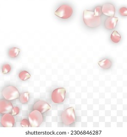 Pink Vector Realistic Petals Falling on Transparent Background.  Spring Romantic Flowers Illustration. Flying Petals. Sakura Spa Design. Blossom Confetti. Design Elements for  Card Design. 