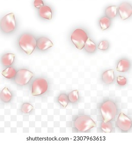 Pink Vector Realistic Petals Falling on Transparent Background.  Spring Romantic Flowers Illustration. Flying Petals. Sakura Spa Design. Blossom Confetti. Design Elements for  St. Valentine Day.