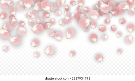 Pink Vector Realistic Petals Falling on Transparent Background.  Spring Romantic Flowers Illustration. Flying Petals. Sakura Spa Design. Blossom Confetti. Design Elements for  Banner Design.