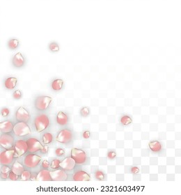 Pink Vector Realistic Petals Falling on Transparent Background.  Spring Romantic Flowers Illustration. Flying Petals. Sakura Spa Design. Blossom Confetti. Design Elements for  St. Valentine Day.