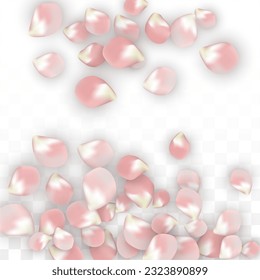 Pink Vector Realistic Petals Falling on Transparent Background.  Spring Romantic Flowers Illustration. Flying Petals. Sakura Spa Design. Blossom Confetti. Design Elements for  8 March Card.