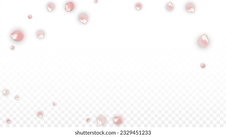 Pink Vector Realistic Petals Falling on Transparent Background.  Spring Romantic Flowers Illustration. Flying Petals. Sakura Spa Design. Blossom Confetti. Design Elements for  Banner Design.