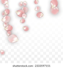 Pink Vector Realistic Petals Falling on Transparent Background.  Spring Romantic Flowers Illustration. Flying Petals. Sakura Spa Design. Blossom Confetti. Design Elements for  Wedding Decoration.