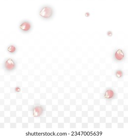 Pink Vector Realistic Petals Falling on Transparent Background.  Spring Romantic Flowers Illustration. Flying Petals. Sakura Spa Design. Blossom Confetti. Design Elements for  8 March Card.