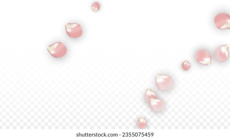 Pink Vector Realistic Petals Falling on Transparent Background.  Spring Romantic Flowers Illustration. Flying Petals. Sakura Spa Design. Blossom Confetti. Design Elements for  St. Valentine Day.