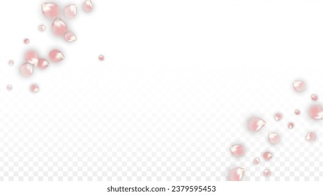 Pink Vector Realistic Petals Falling on Transparent Background.  Spring Romantic Flowers Illustration. Flying Petals. Sakura Spa Design. Blossom Confetti. Design Elements for  Mother's Day.