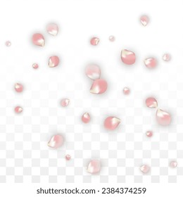 Pink Vector Realistic Petals Falling on Transparent Background.  Spring Romantic Flowers Illustration. Flying Petals. Sakura Spa Design. Blossom Confetti. Design Elements for  8 March Card.