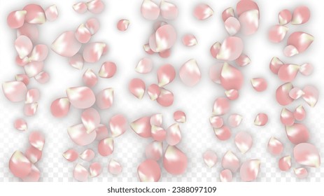 Pink Vector Realistic Petals Falling on Transparent Background.  Spring Romantic Flowers Illustration. Flying Petals. Sakura Spa Design. Blossom Confetti. Design Elements for  St. Valentine Day.
