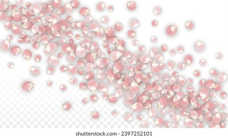 rosafarbene, realistische Petalen, die auf transparentem Hintergrund fallen.  Frühlingsromantische Blumenillustration. Fliegender Petals. Sakura Spa Design. Blossom Confetti. Gestaltungselemente für den Valentinstag.