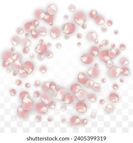 Pétalos realistas del vector rosado caen sobre fondo transparente.  Ilustración de flores románticas primaverales. Pétalos voladores. Diseño del Spa Sakura. Blossom Confetti. Elementos de diseño para la decoración de bodas.