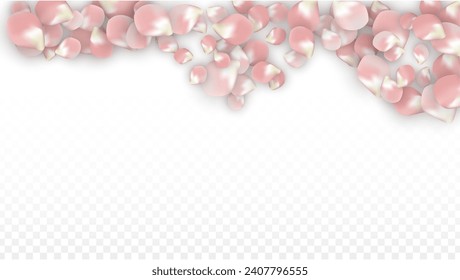 Pink Vector Realistic Petals Falling on Transparent Background.  Spring Romantic Flowers Illustration. Flying Petals. Sakura Spa Design. Blossom Confetti. Design Elements for  Card Design. 