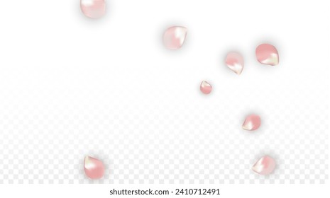 Pétalos realistas del vector rosado caen sobre fondo transparente.  Ilustración de flores románticas primaverales. Pétalos voladores. Diseño del Spa Sakura. Blossom Confetti. Diseñar elementos para el diseño de pancartas.